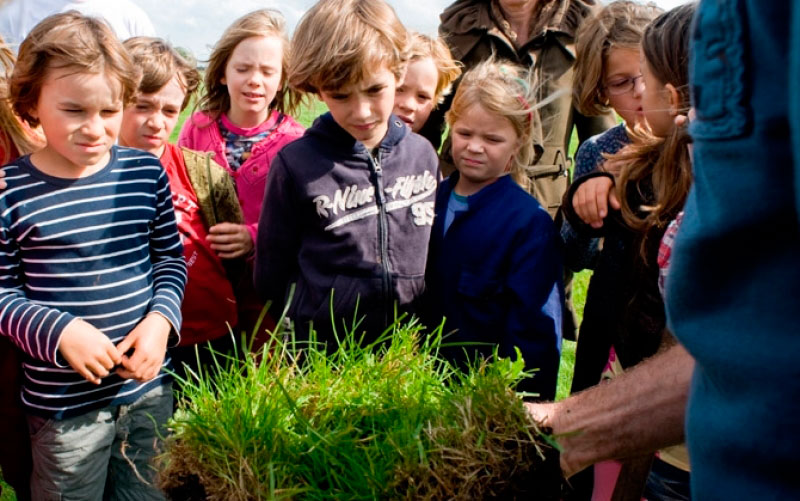 Water-land-en-dijken_Met-de-klas-naar-de-boerderij