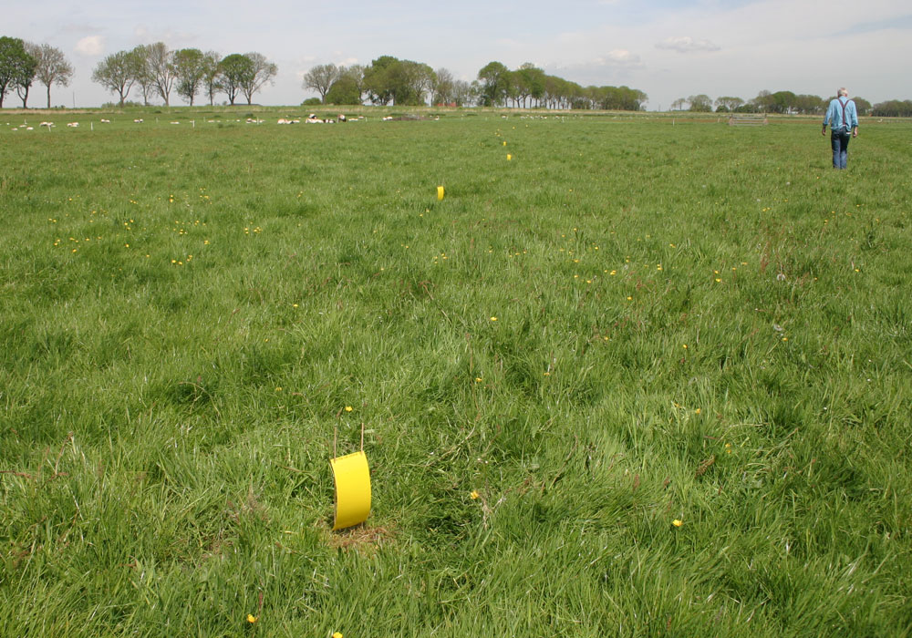 Water-land-dijken-projecten-plakstrips-1-1000x700px