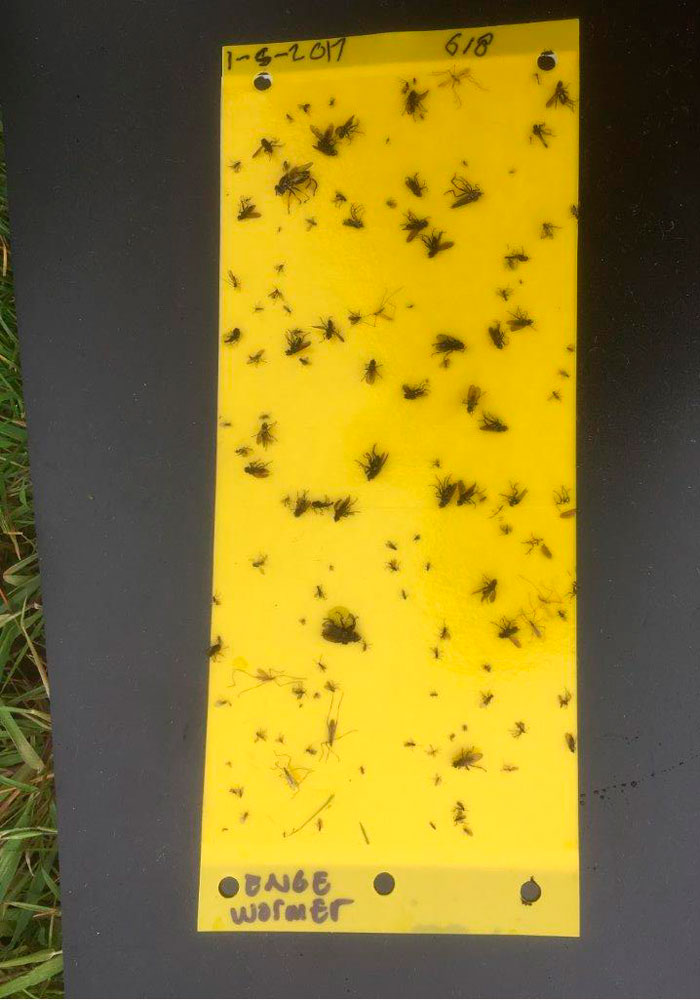 Water-land-dijken-projecten-plakstrips-3-1000x700px