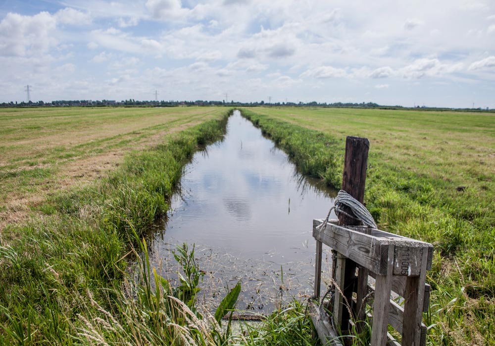 Boer-in-beeld-Noom-4