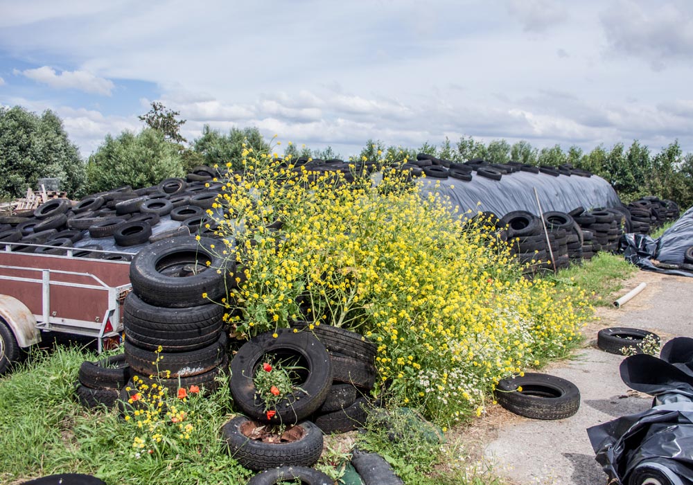 Boer-in-beeld-Noom-5