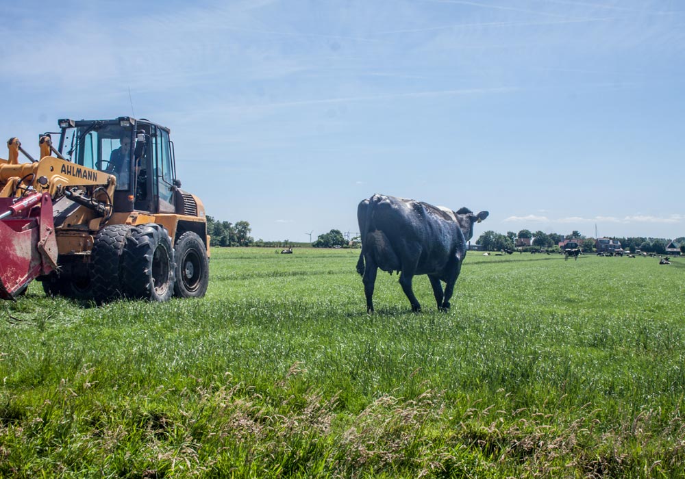Boer-in-beeld-Roos-7