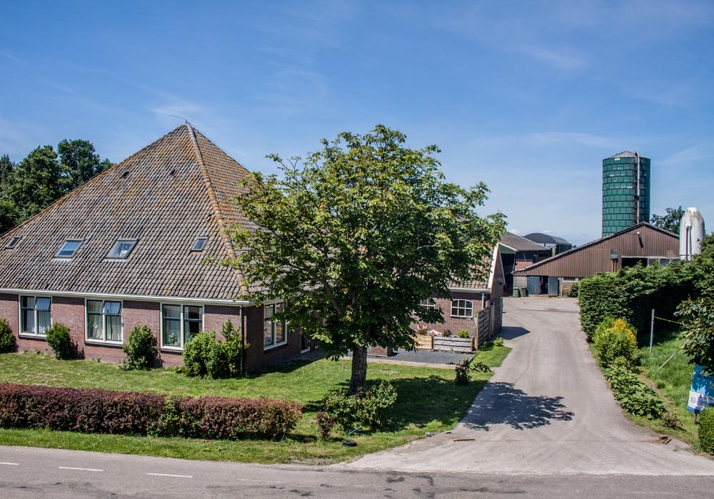 Boer-in-beeld-Roos-8