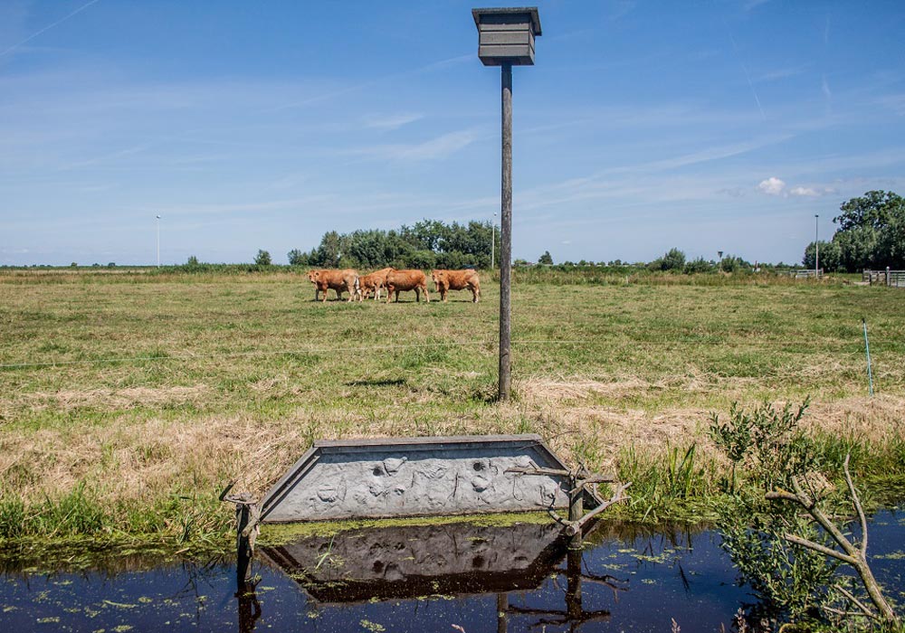 Boer-in-beeld-Simons-5