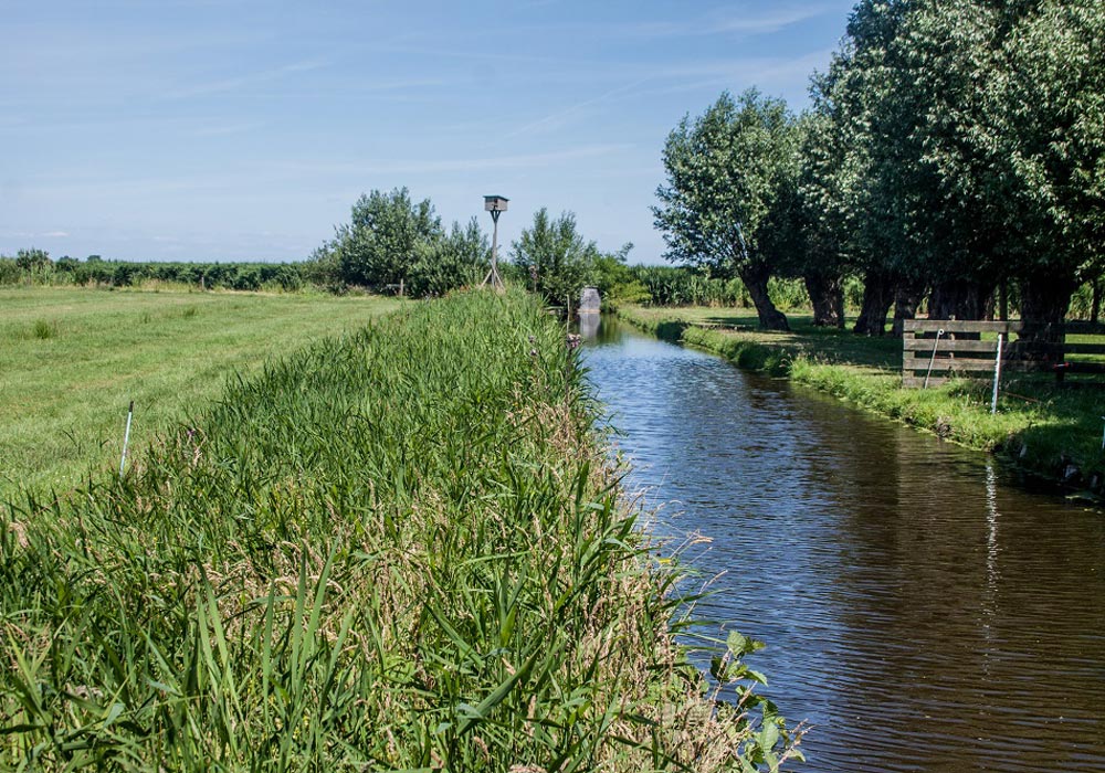 Boer-in-beeld-Simons-6