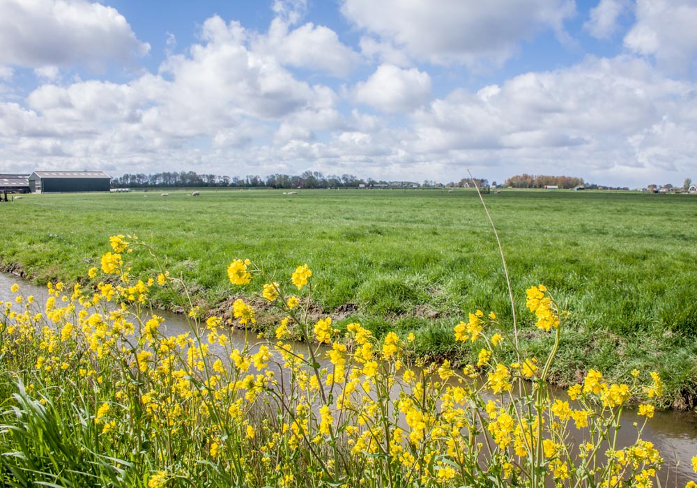 Boer-in-beeld-Van-Diepen-5