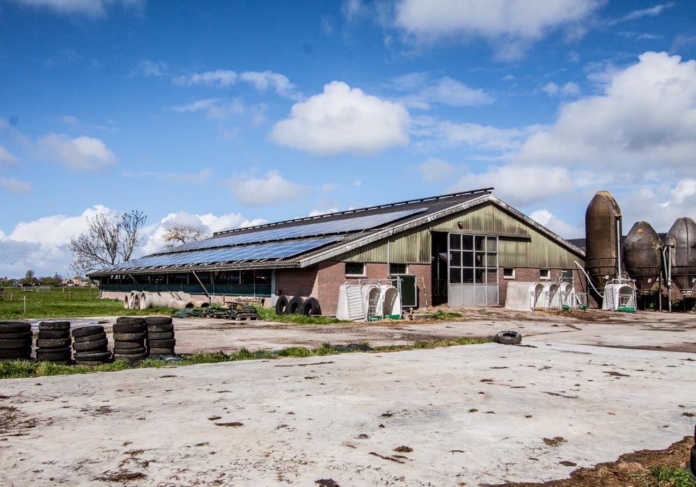 Boer-in-beeld-Van-Diepen-6