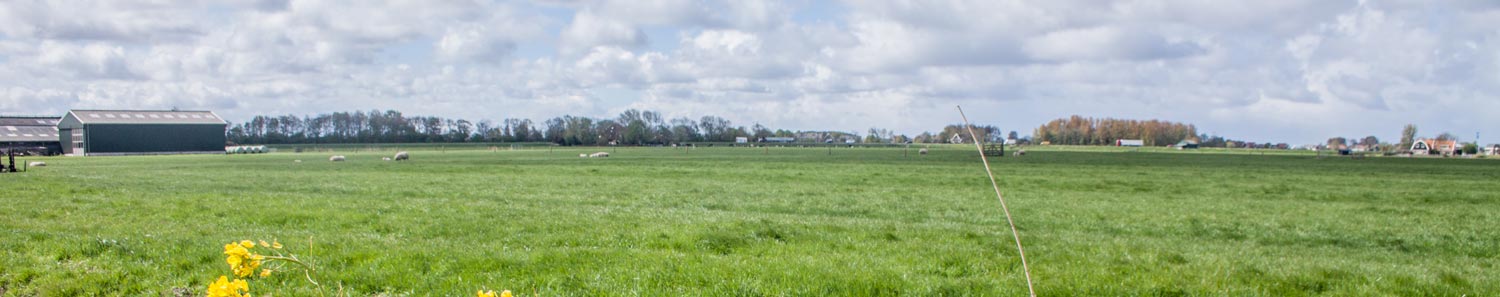 Header-Boer-in-beeld-Gerben-van-Diepen