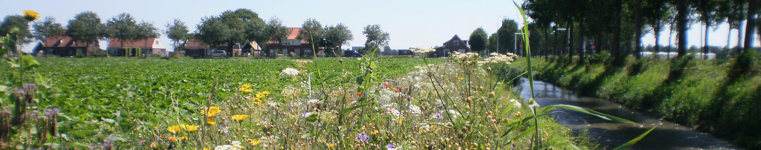 Water-land-dijken-Header-Voor-leden-2-1500x297px