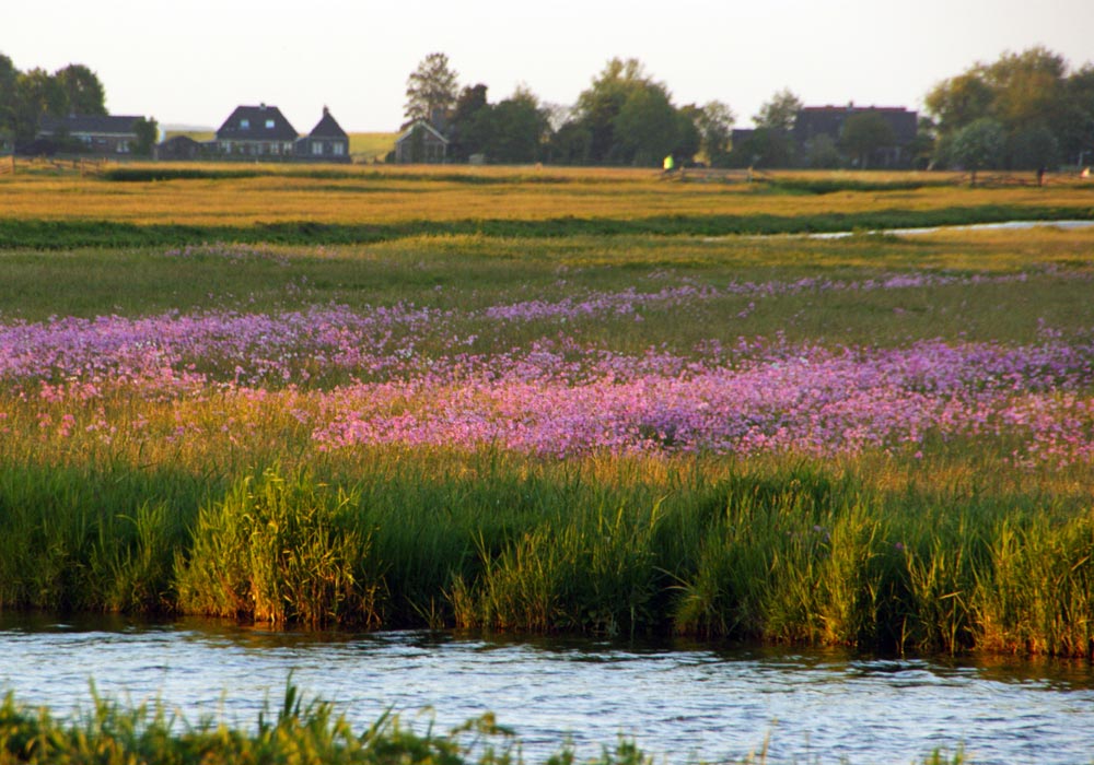 Water-land-dijken-lid-worden-1000x700px