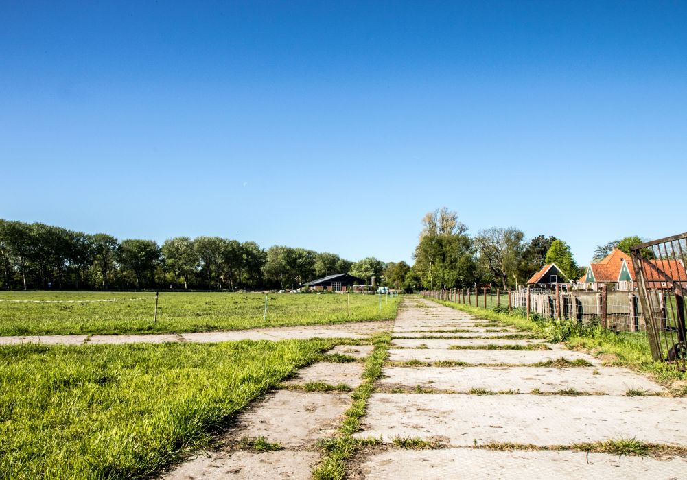 MichielMooij(extra)-1-web