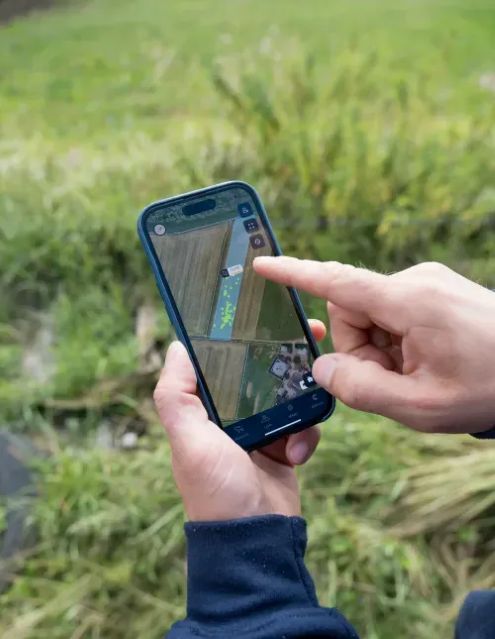 Virtueel afrasteren met systeem Collie