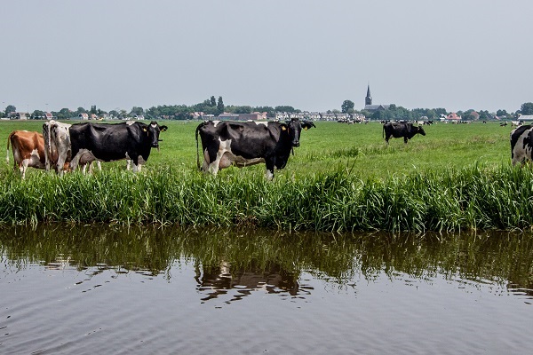 Bert Hartman 600 x 400