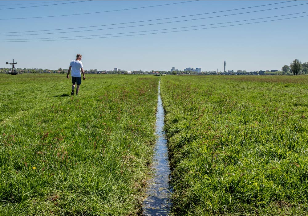Boer-in-beeld-Anjo-Mariska-de-Leeuw-05