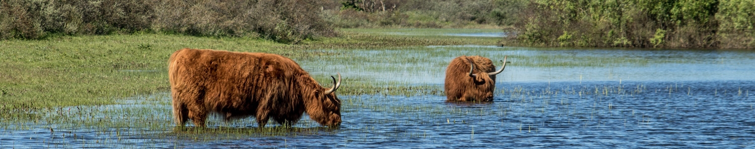 Boer-in-beeld-Anjo-Michiel-Mooij-header