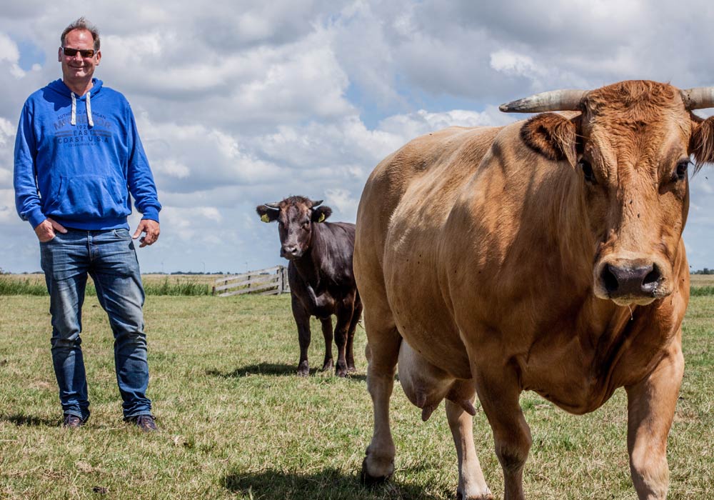 Boer-in-beeld-Camperduin-01