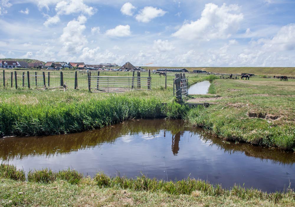 Boer-in-beeld-Camperduin-08