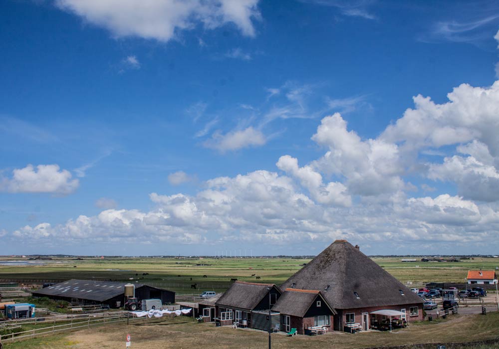 Boer-in-beeld-Camperduin-11