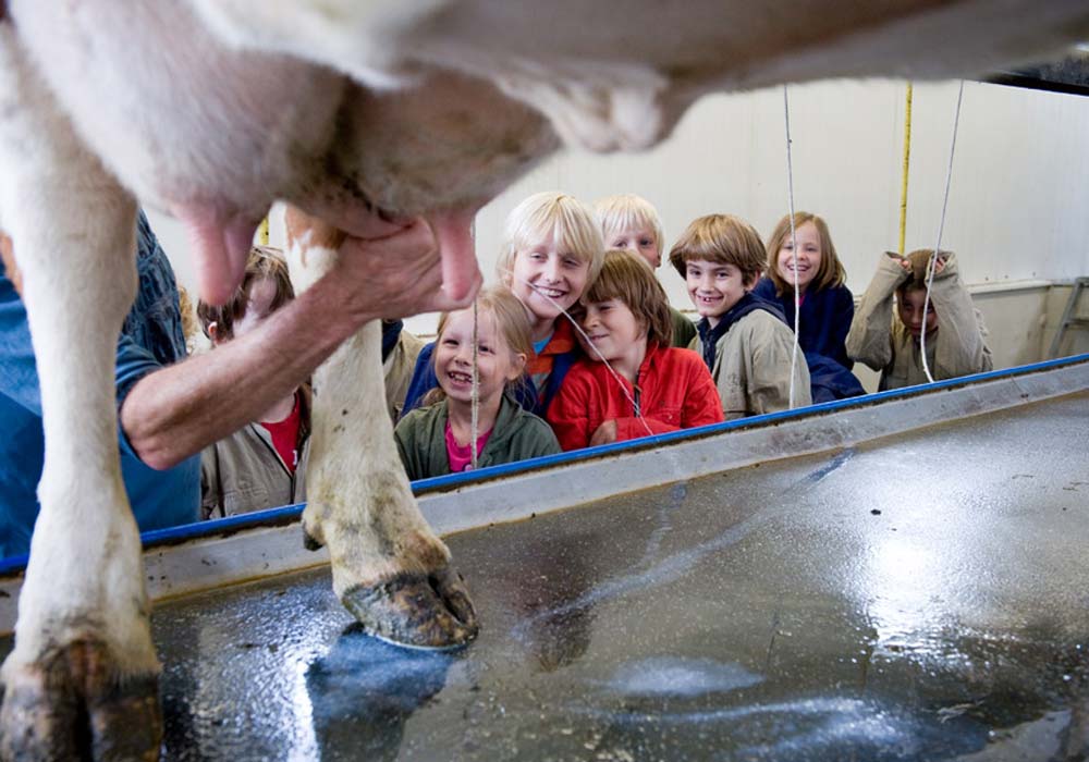 Boerderijeducatie-1000x700px