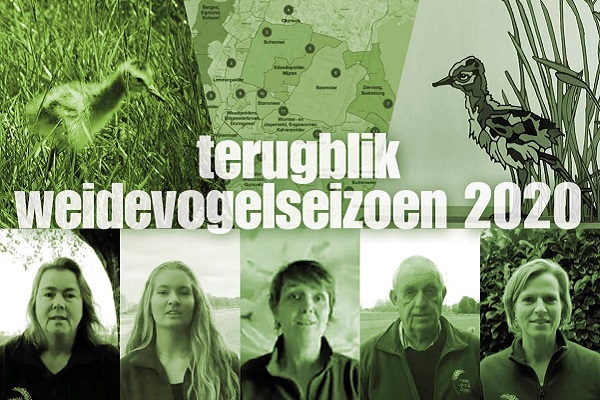 Compilatieplaatje terugblik weidevogelseizoen 2020 JAARVERSLAG 2020