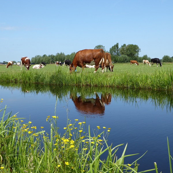 GLB pilot_persbericht_20210510_Jose van Miltenburg 600 x 600