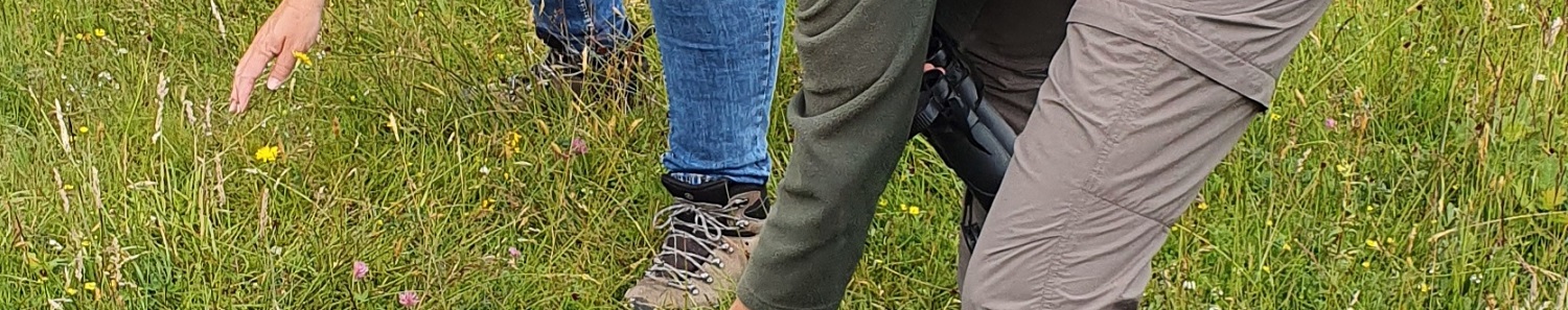 Headerfoto 3 vacaturegids vrijwilligers 1500x297