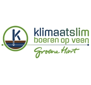 KSBGH-logo-1