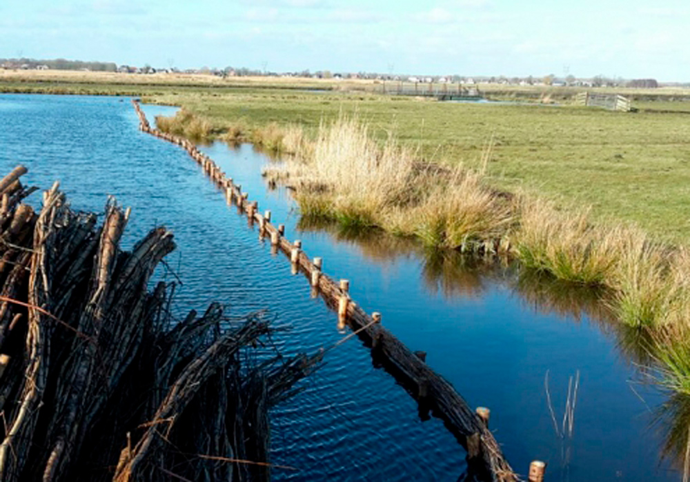 Kleurrijke-linten-1000x700px