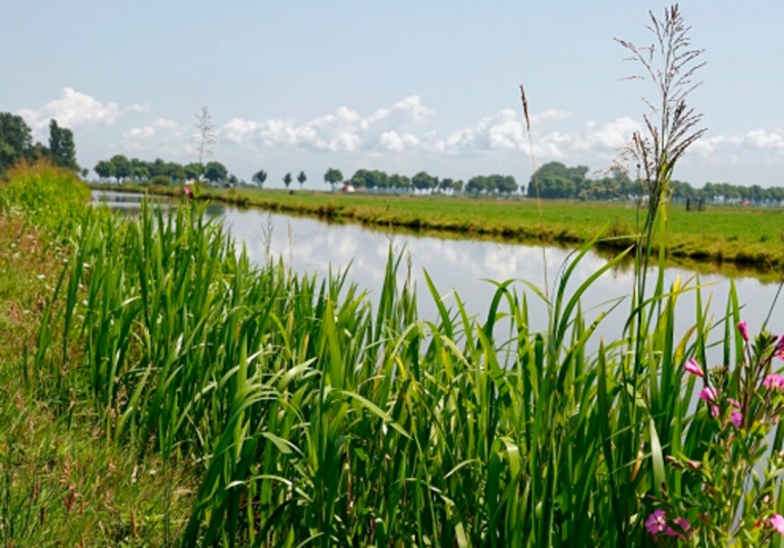 agrarisch-waterbeheer-onder-anlb-water-land-dijken