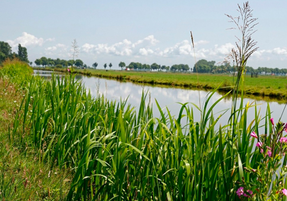 Kleurrijke-linten-2-1000x700px