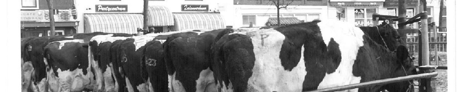 Koemarkt Oude foto 1500 x 297 pixels l