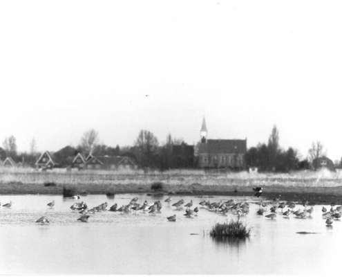 Plas dras Zijp oude foto