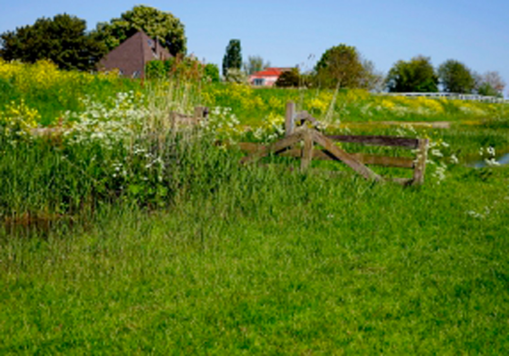 Poldertje-Schardam-1000x700