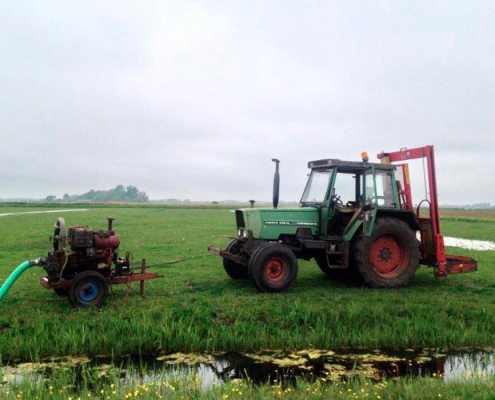 Terugblik-weidevogelseizoen-2020-01