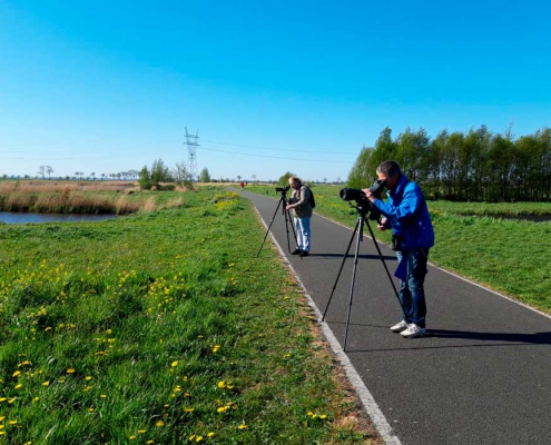 Terugblik-weidevogelseizoen-2020-04