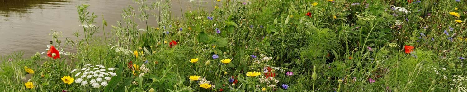 WLD-Overzichtspagina-test