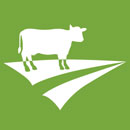 WLD-icoon-beleefbaar-landschap-130x130px