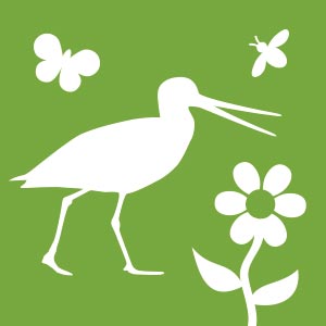 WLD-icoon-natuur-biodiversiteit-300x300px