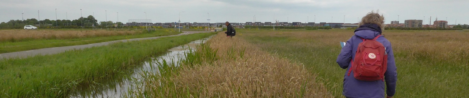 botanische weiderand in veld Hanneke Waller HEADER