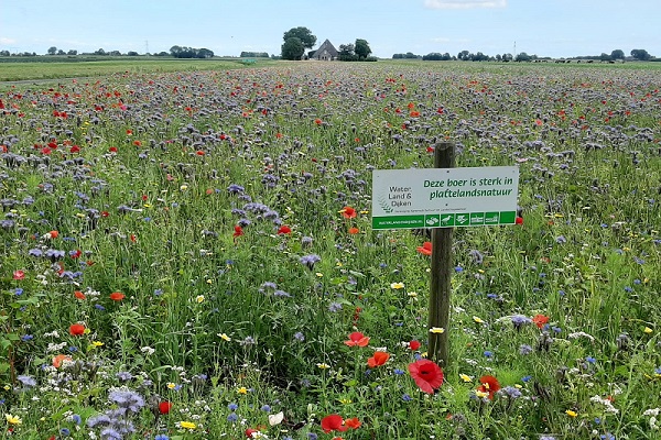 foto akkerrand 600x400