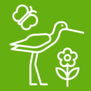 natuur-biodiversiteit-icoon-273x273