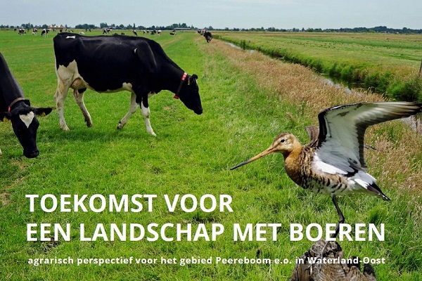 omslag rapport Peereboom 600 x 400