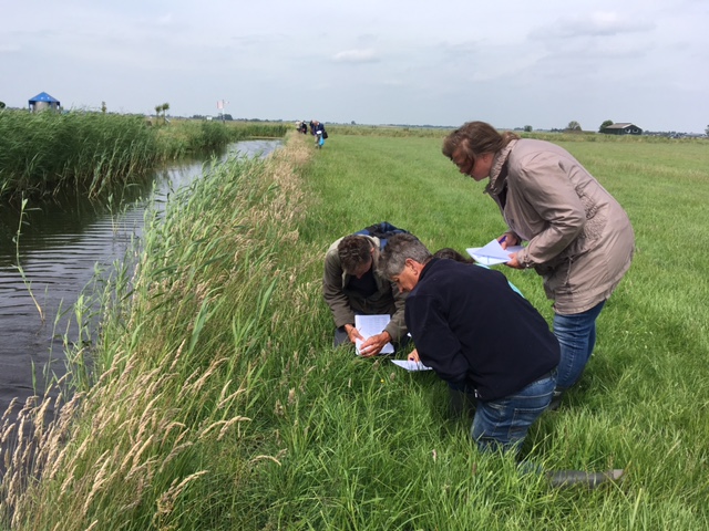 vrijwilligers oeverplanten herkennen aan de waterkant
